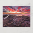 Recherche de cordonnier posters Côte