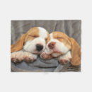 Zoek naar puppy dekens Puppies