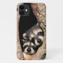 Recherche de racoon iphone coques Animaux mignons