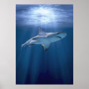 Recherche de shark posters Animal