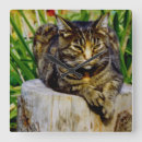 Recherche de cats horloges Toute personne