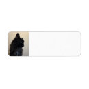 Zoek naar katten etiketten Feliene