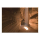 Recherche de tire bouchon posters Arizona