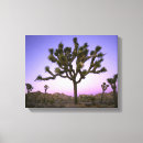 Zoek naar tree kunst Kleurrijk