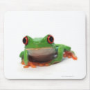 Recherche de blooded tapis souris Échelles
