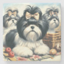 Zoek naar shih tzu onderzetters Schattige honden
