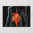 Recherche de corps humain cartes postales Horizontal