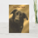 Recherche de races de chien vœux cartes Pour elle