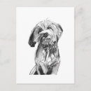 Zoek naar houtskool briefkaarten Hond