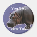 Recherche de hippopotame magnets Safari