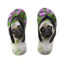 Zoek naar pugs schoenen Puppy