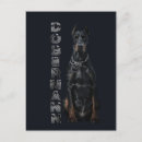 Recherche de dobx cartes postales Dobermann