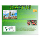 Recherche de faune posters Plante