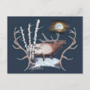 Recherche de mâles cartes postales Faune