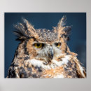 Recherche de 20x16 posters Animal