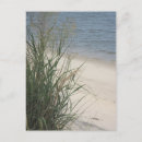 Recherche de pied photographie Bord de mer