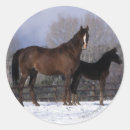 Recherche de mares autocollants Cheval