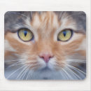 Recherche de chat adorable tapis souris Chaton