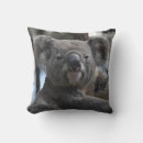 Recherche de marsupial coussins Koala