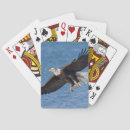 Recherche de rapace jeux de cartes Animal