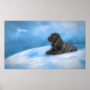 Zoek naar engelse cocker spaniël posters Schattig