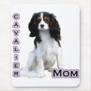 Recherche de cavalier king charles tapis souris Espagne