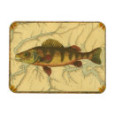 Recherche de poissons magnets Sport