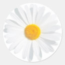 Recherche de pétales de marguerite autocollants Fleur