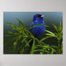 Recherche de naturel posters Dessin