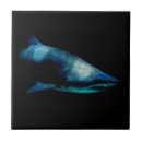 Recherche de requin carreaux Océan