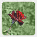 Recherche de beauté nature autocollants Floral