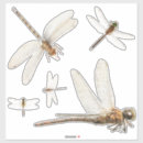 Recherche de moustiques autocollants Répulsif