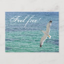 Recherche de gode cartes postales Mer
