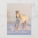 Recherche de chevaux neige cartes postales Beau