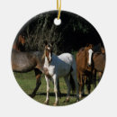 Recherche de mustang ornements Équestre
