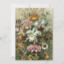 Recherche de humide invitations Botanique