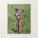 Zoek naar decoratie puzzels Fotografie