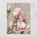 Recherche de botanique vintage cartes postales Fleurs