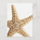 Recherche de créatures de vie marine posters Vacances