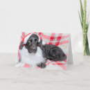 Zoek naar bah humbug kaarten Zwart