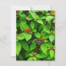 Recherche de papillons correspondances cartes Faune