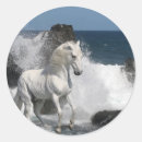 Recherche de mers du sud Langrishphoto