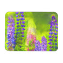Recherche de originale magnets Rose