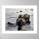 Recherche de mammifère marin posters Mer