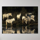 Recherche de herd posters Bob langrish