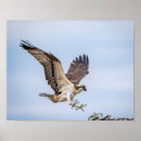 Zoek naar sprei posters Dieren