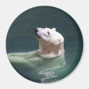 Recherche de mis en danger magnets Animal