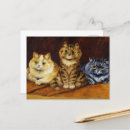 Recherche de persan chat cartes postales Portrait