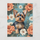Zoek naar yorkshire terriers briefkaarten For her