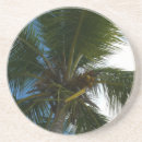 Recherche de cocotier dessous de verres Île